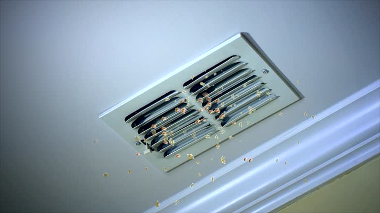 Best Affordable Duct Cleaning Services  in Crandon, WI