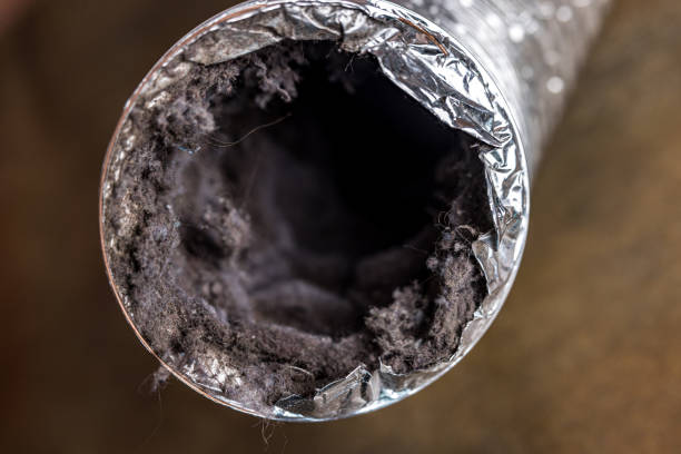 Best Ductwork Cleaning Services  in Crandon, WI