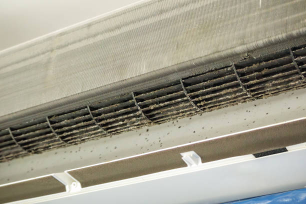 Best Affordable Air Duct Cleaning  in Crandon, WI